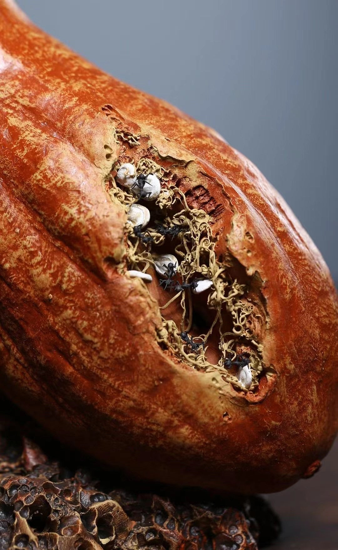 原礦段泥老南瓜紫砂擺件