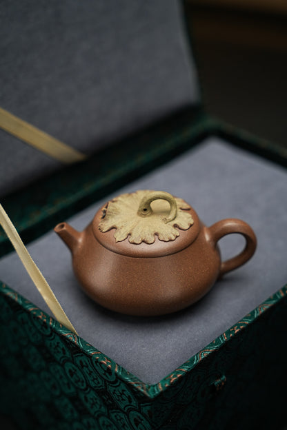 聽泉紫砂壺「20250816每日特價」