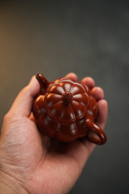 極品朱泥筋紋蓮子哲緣紫砂壺「20260111每日特價」