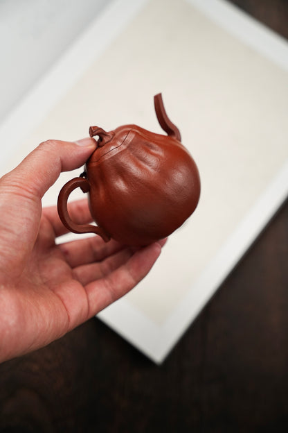 朱泥小南瓜霓裳紫砂壺「20251118每日特價」