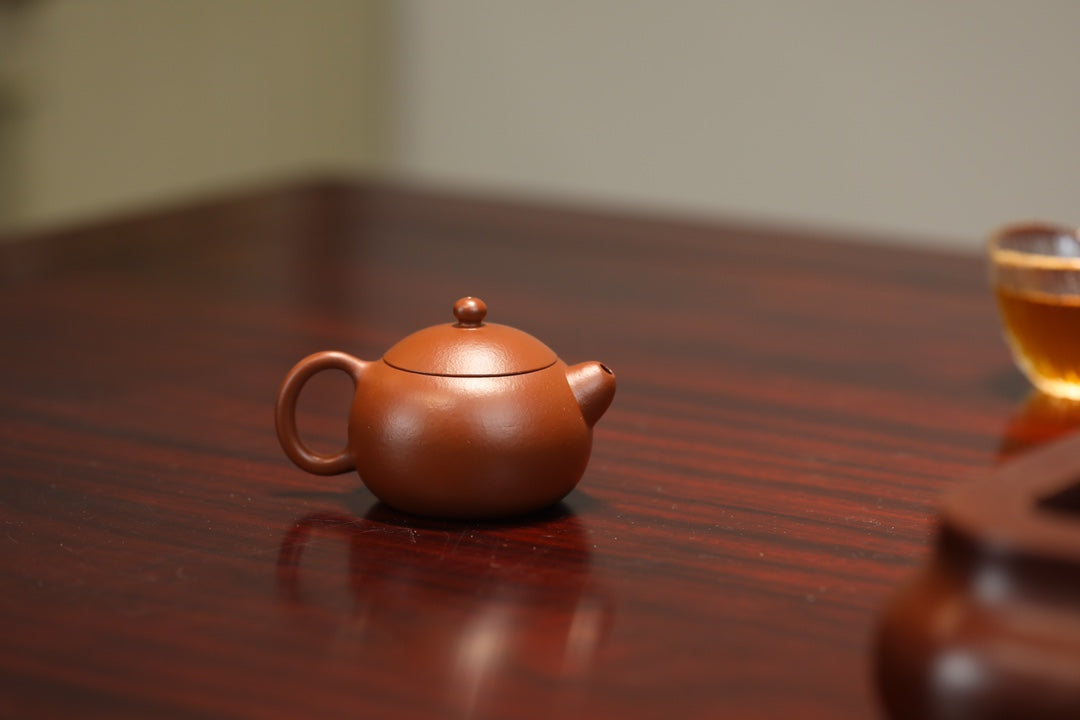 Wrinkled vermilion clay sketch Xishi Zisha teapot